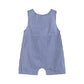 Lil Cactus - Blue Striped Car Smocked Shortalls